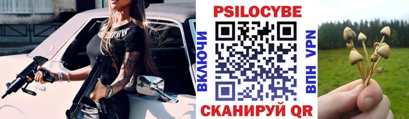 Псилоцибиновые грибы Magic Shrooms  купить наркотики цена  Рассказово 